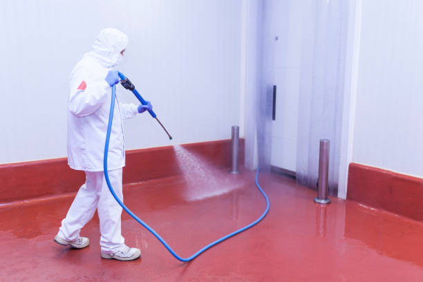Best Soft Washing  in Ashley, PA
