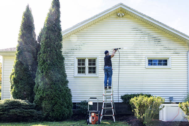 Best Sidewalk and Walkway Cleaning  in Ashley, PA